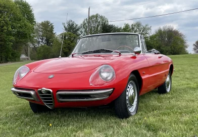 1967 Alfa Romeo Spider Duetto 1600